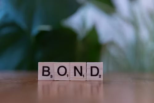 About Finvriddhi